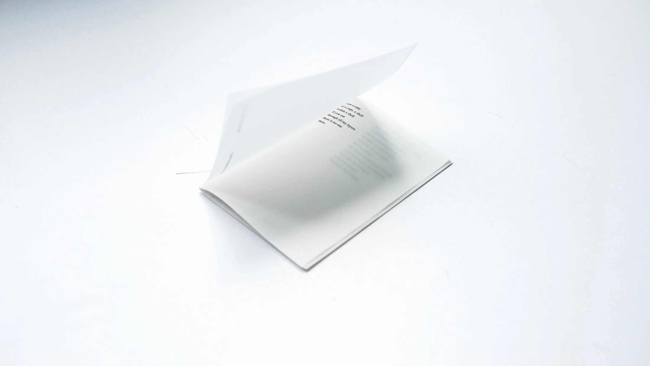 full transparency by Aphrodite D. Photo: Aphrodite D.