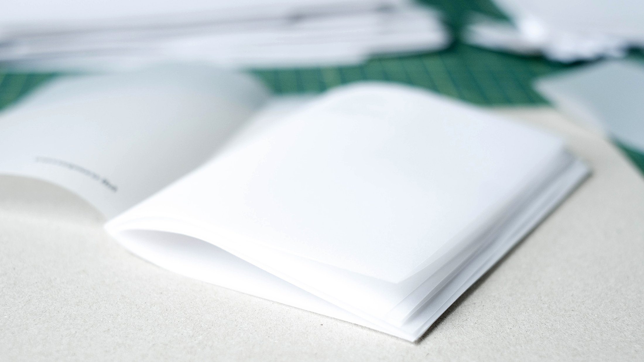 full transparency by Aphrodite D. Photo: Aphrodite D.