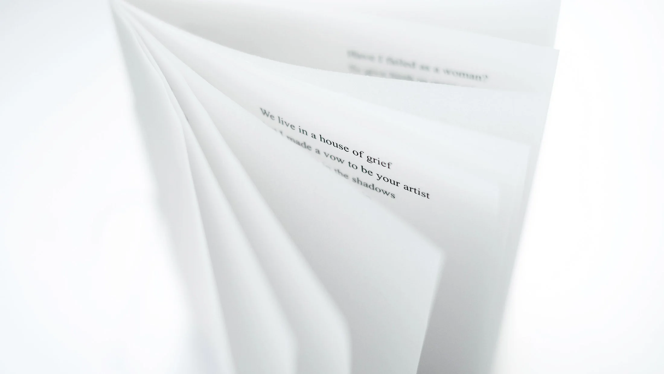 full transparency by Aphrodite D. Photo: Aphrodite D.