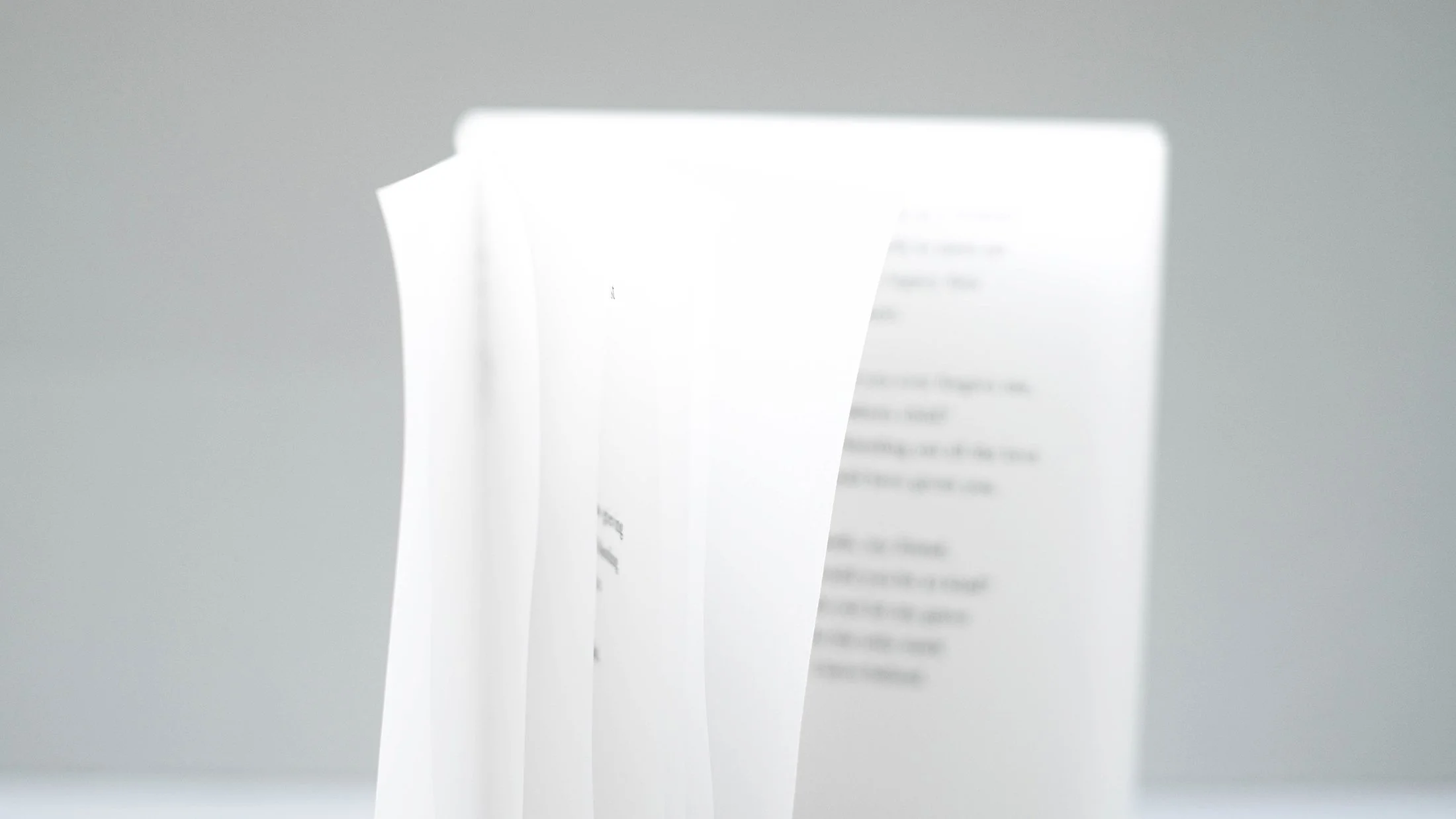 full transparency by Aphrodite D. Photo: Aphrodite D.