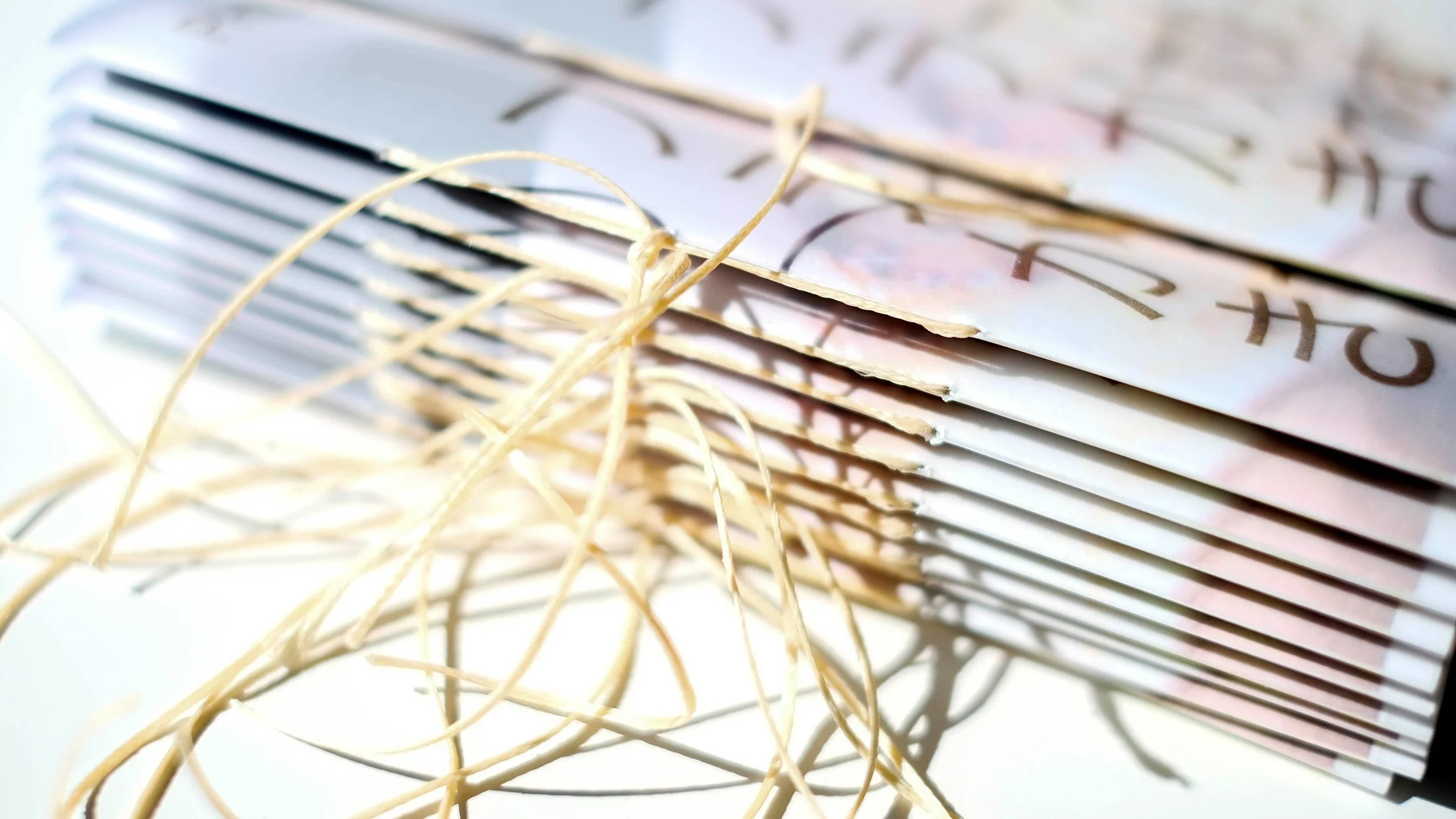 Phil Loves Ramen by Scribblin Phil and Illographo Press. Photo: Aphrodite D.