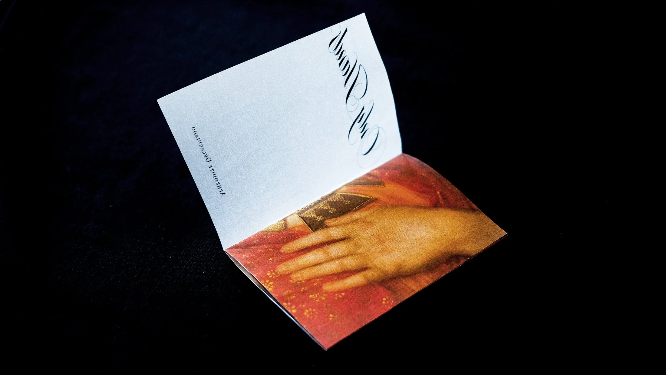 Only Hands (AGNSW) by Aphrodite D.