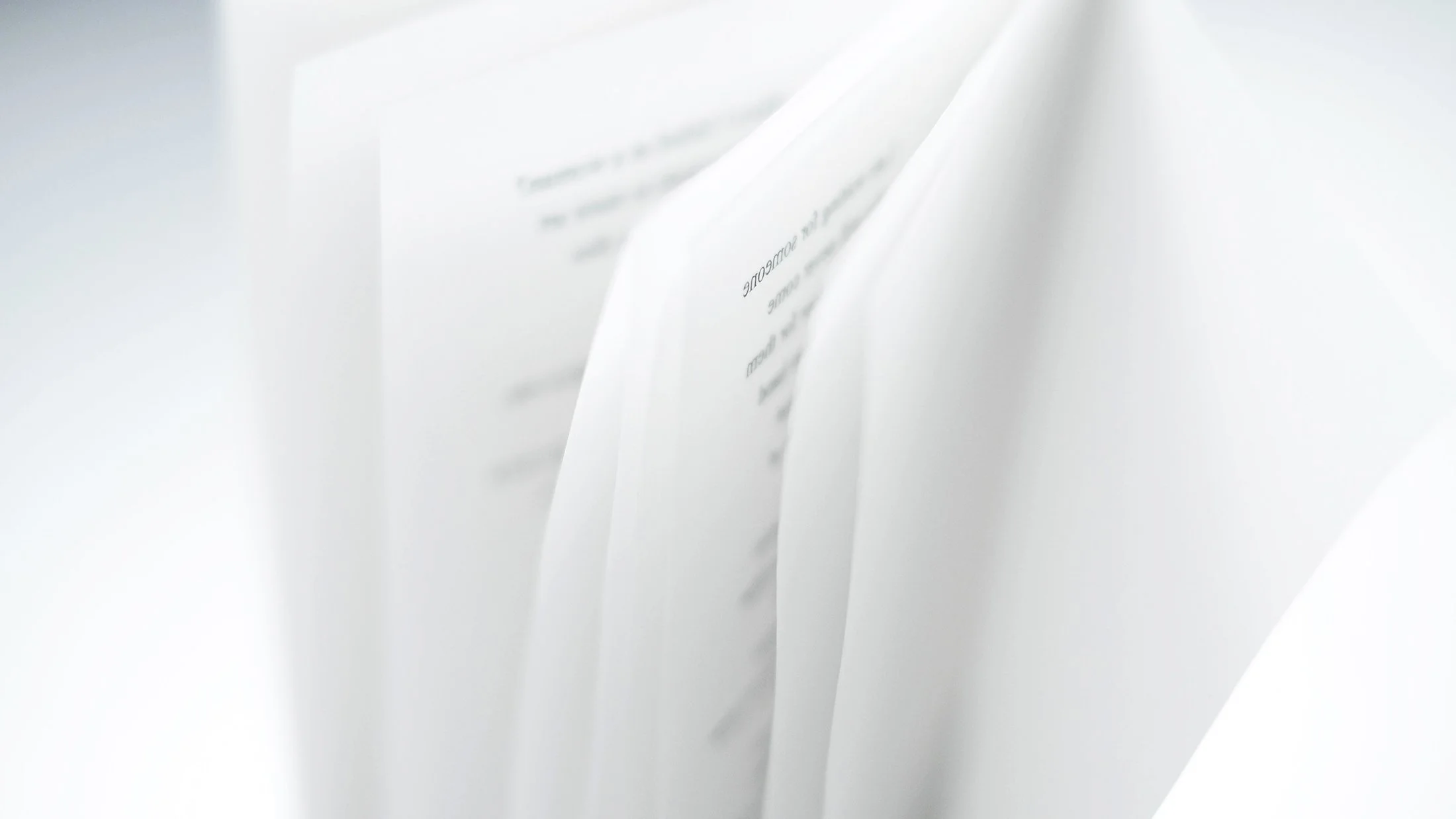 full transparency by Aphrodite D. Photo: Aphrodite D.