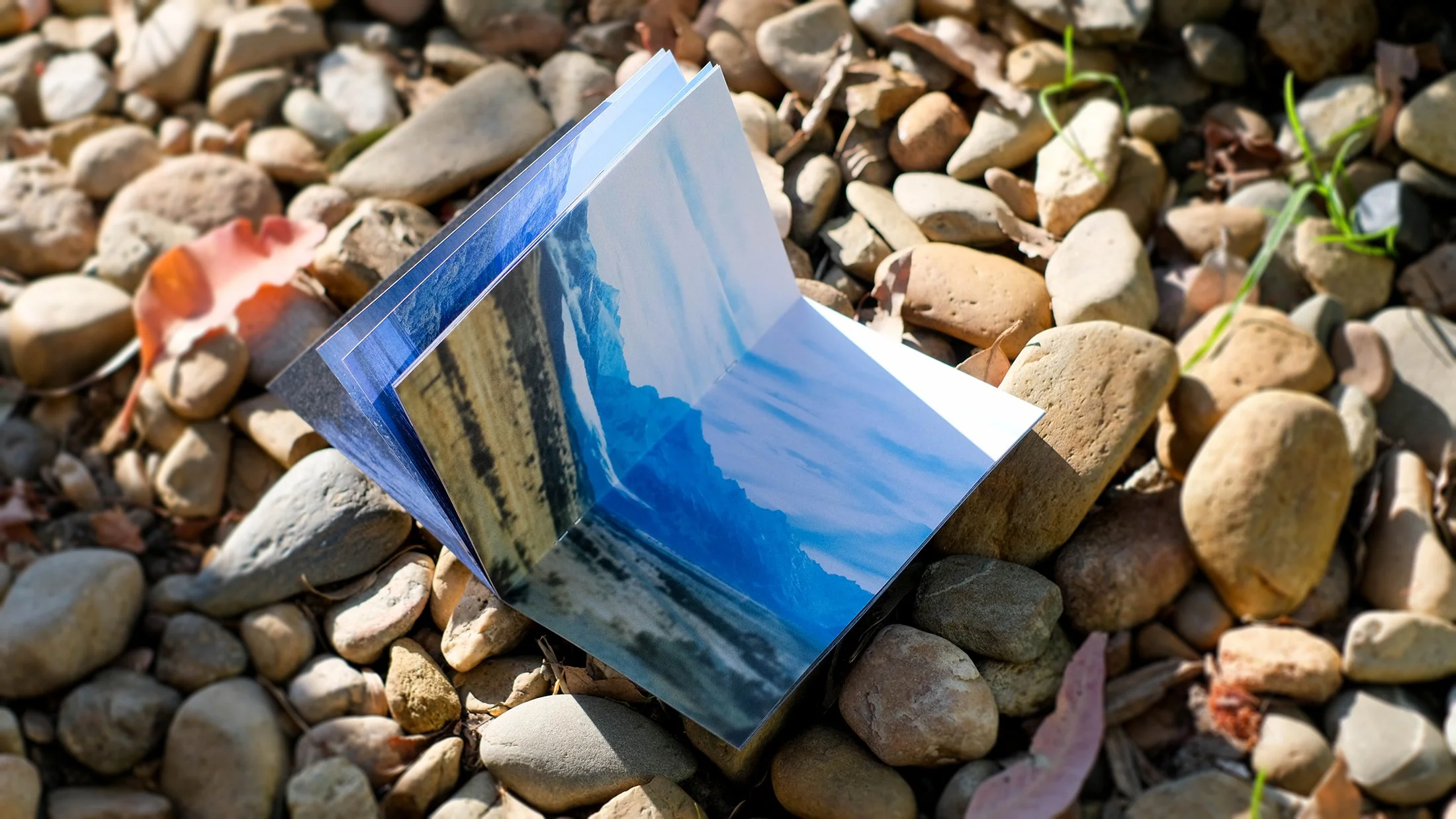 Maunga by Illographo Press_7382.jpg