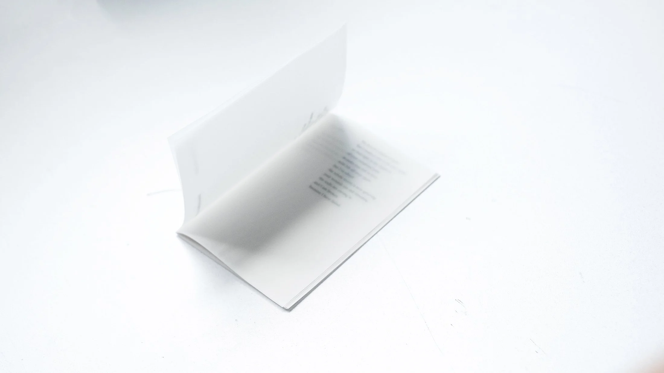 full transparency by Aphrodite D. Photo: Aphrodite D.