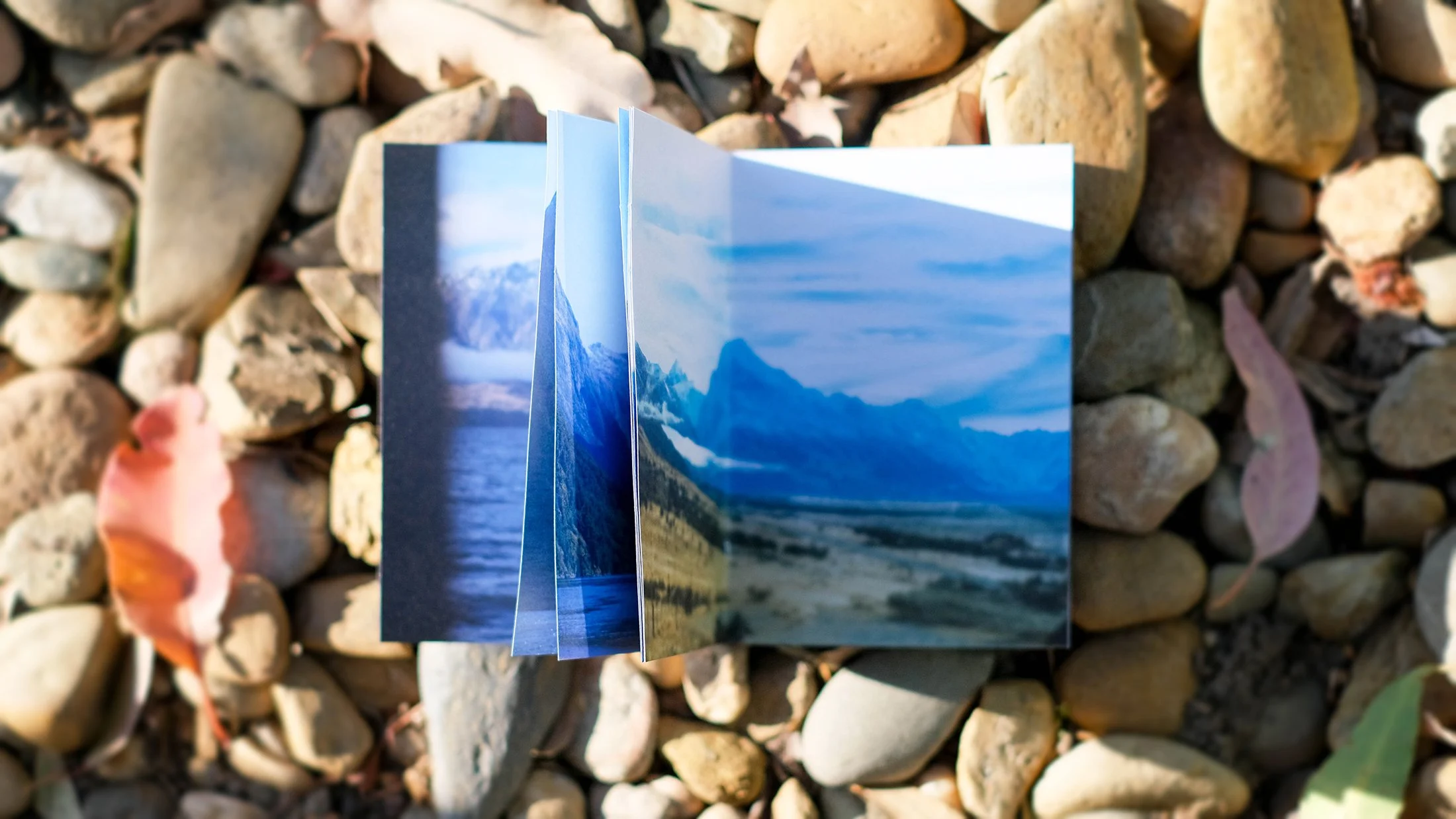 Maunga by Illographo Press_7381.jpg