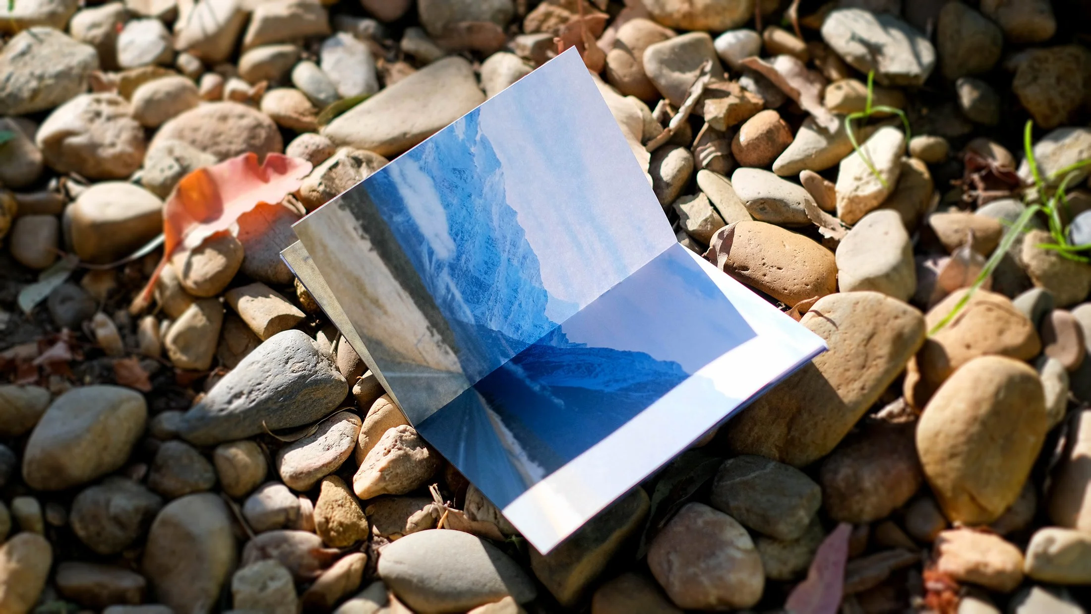 Maunga by Illographo Press_7386.jpg