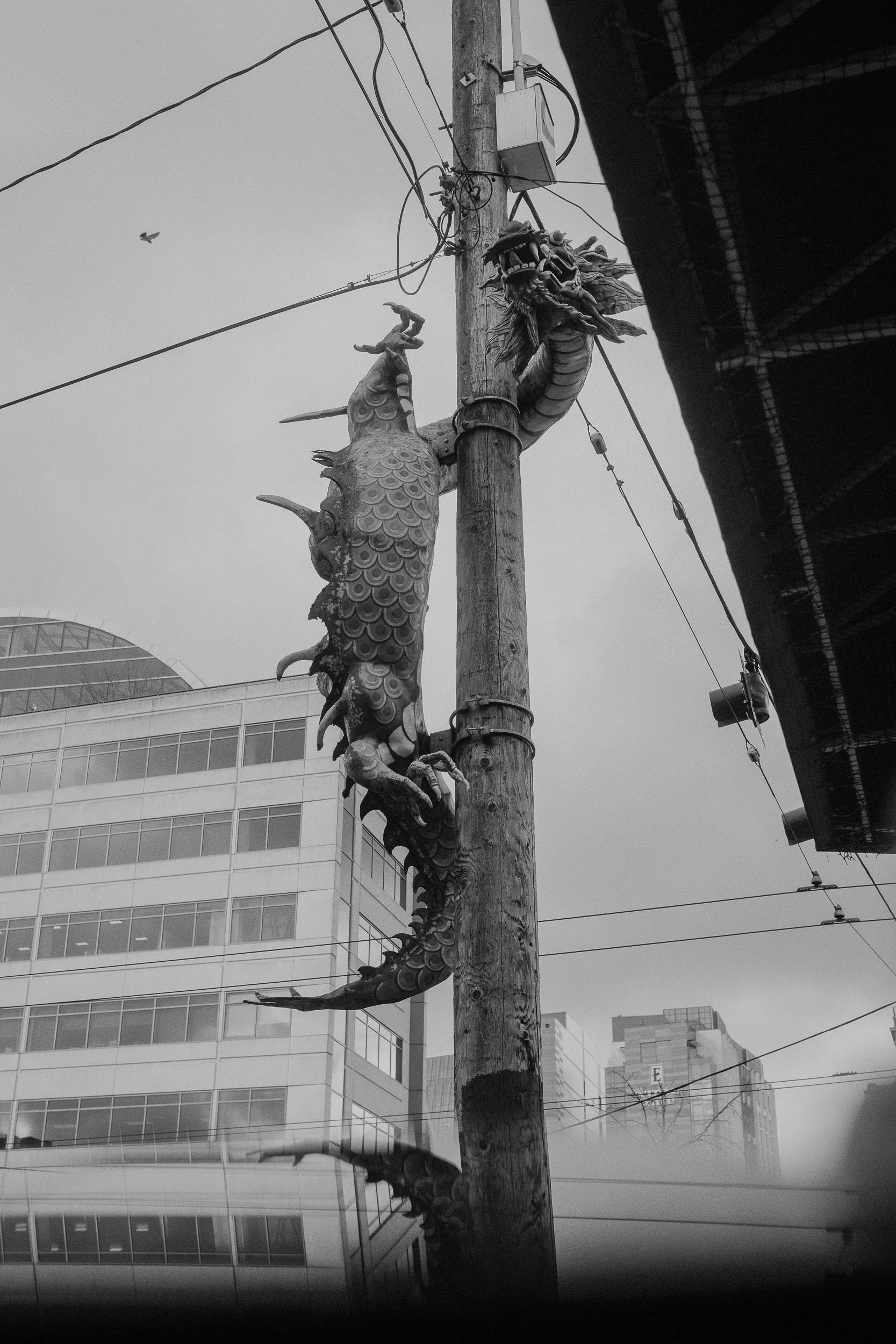 DSCF8993.jpg