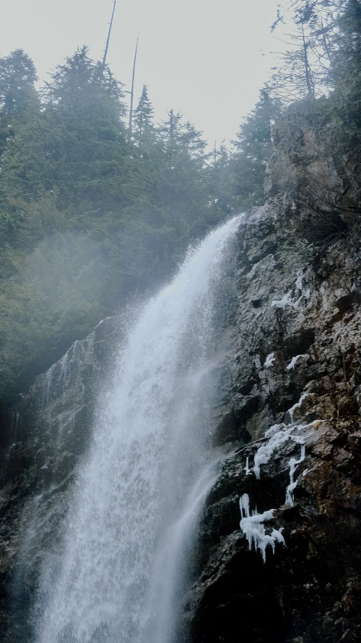 DSCF8507.jpg