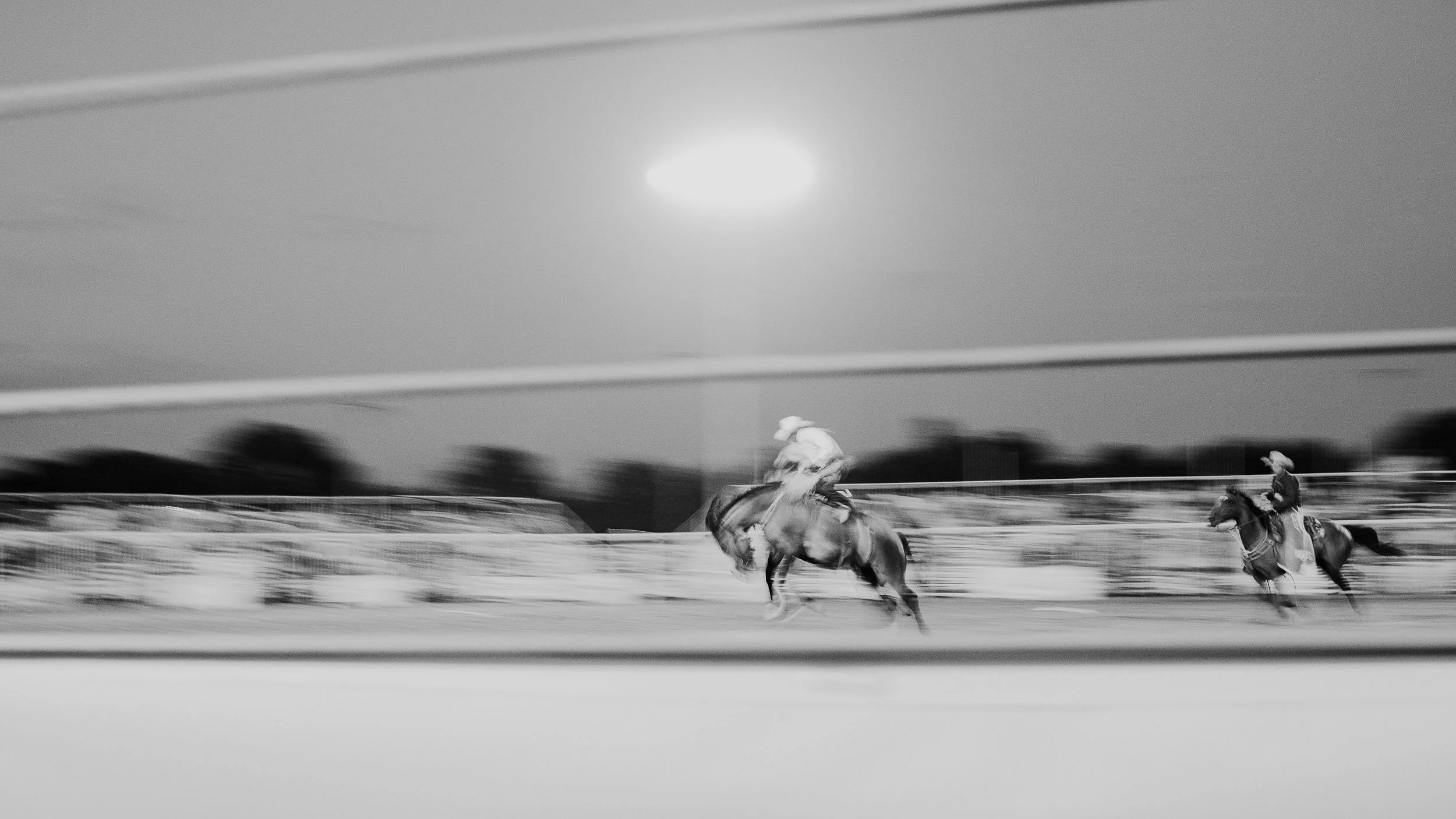 DSCF0241-2.jpg