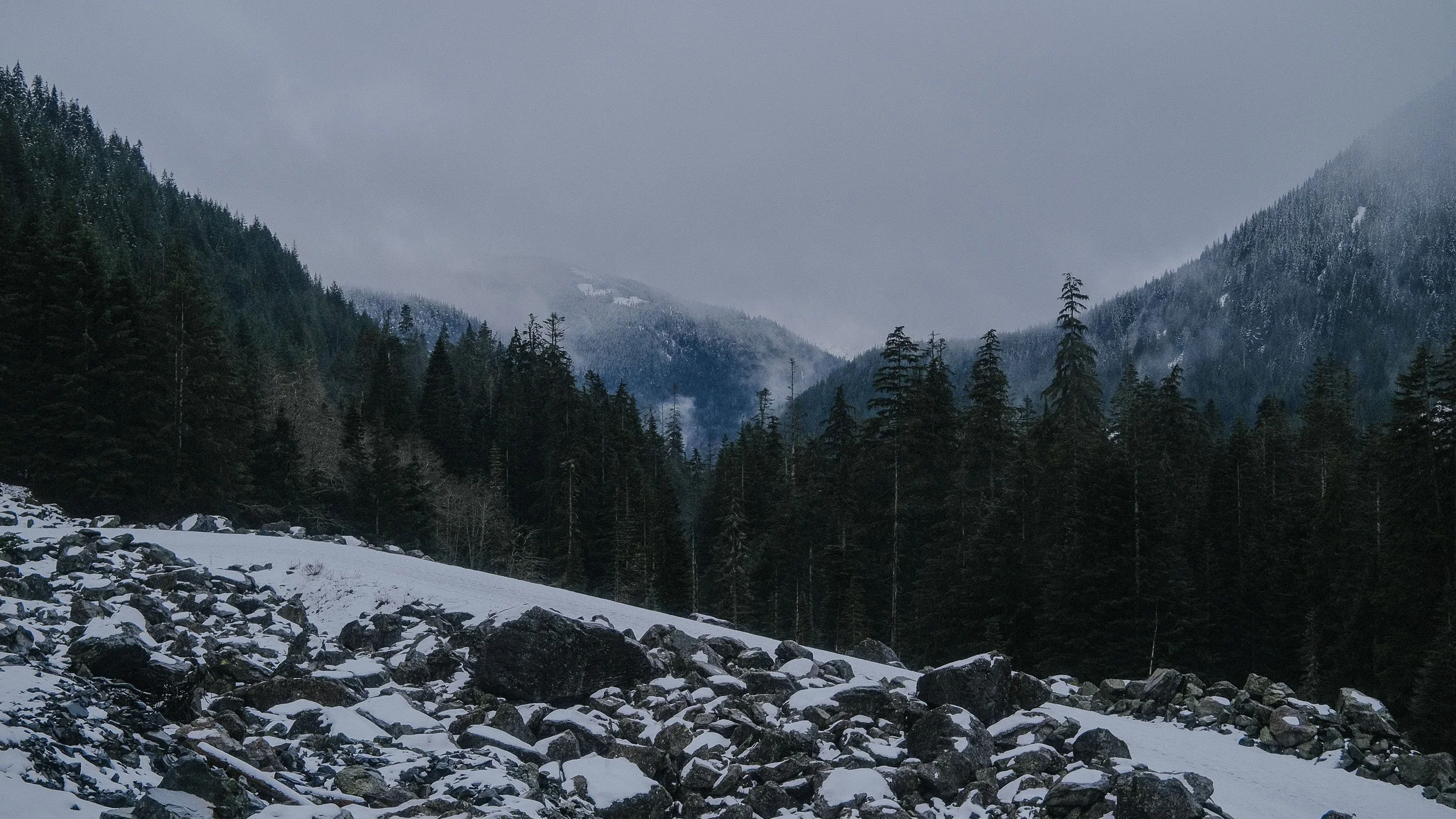 DSCF8244.jpg