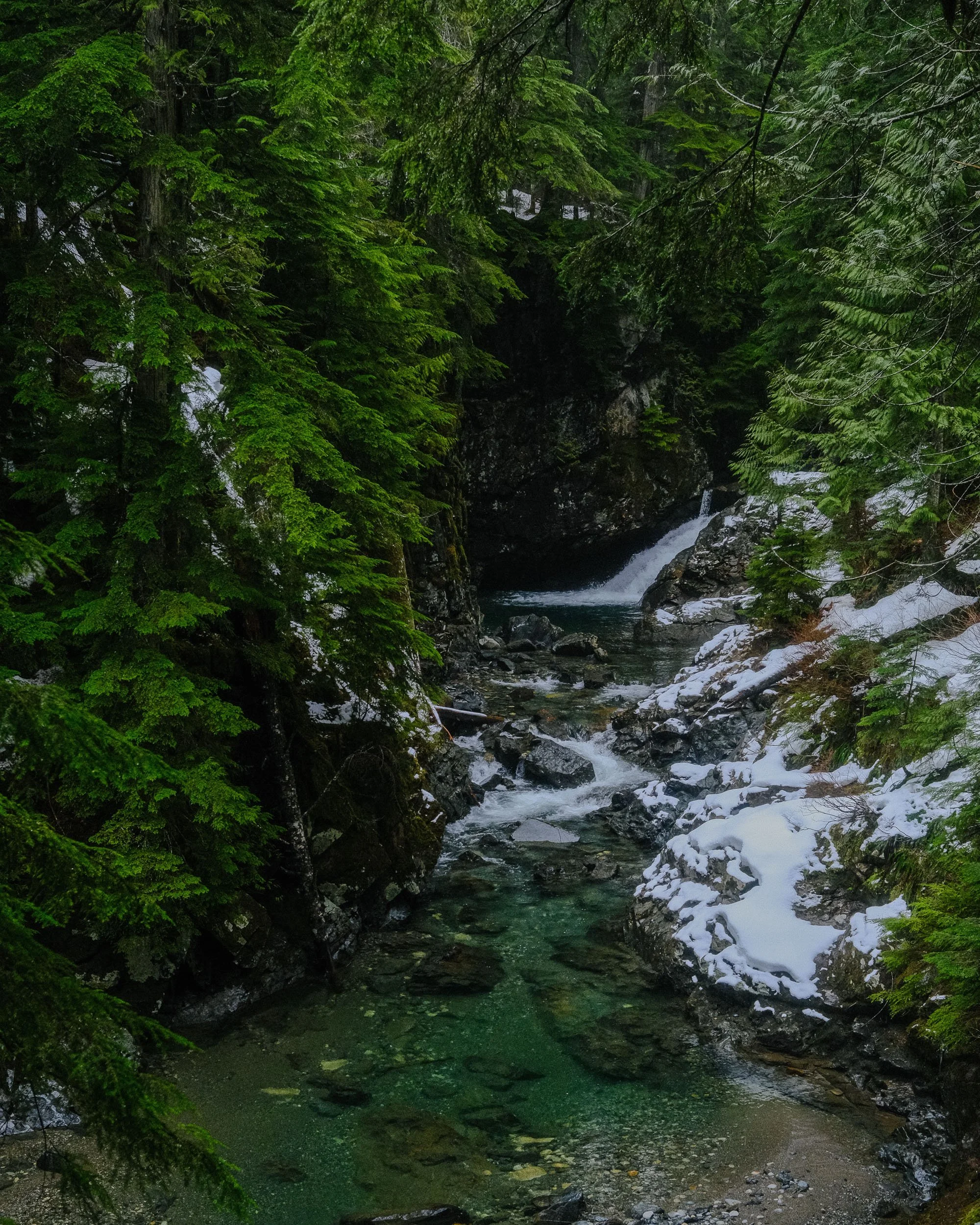 DSCF8417.jpg
