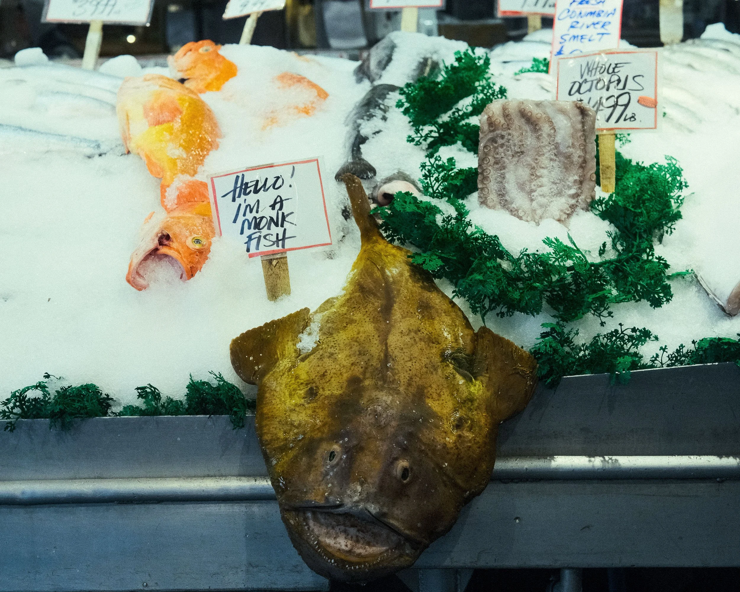 DSCF7790.jpg