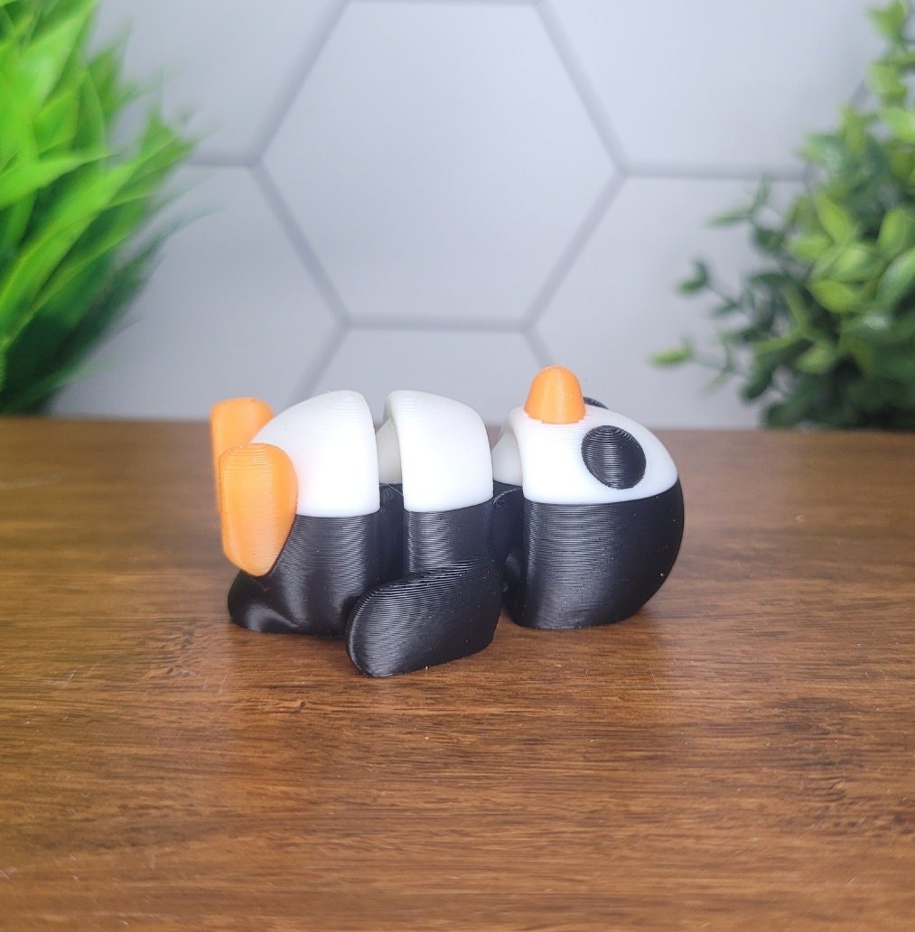 https://i.etsystatic.com/46846830/r/il/52855e/6152549620/il_fullxfull.6152549620_rdma.jpg