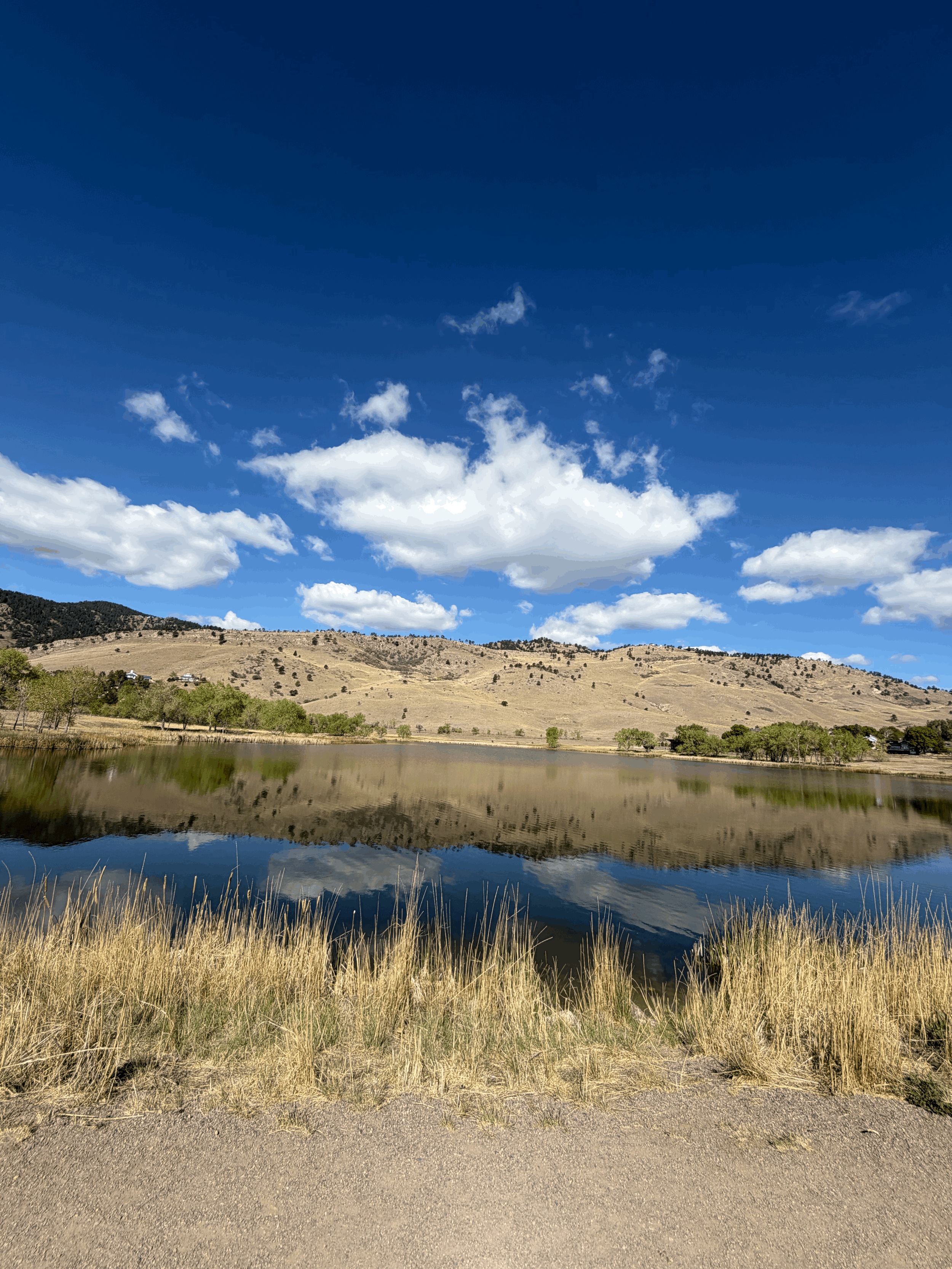 How Much Does Landscaping Cost in Colorado? A Homeowner’s Pricing Guide