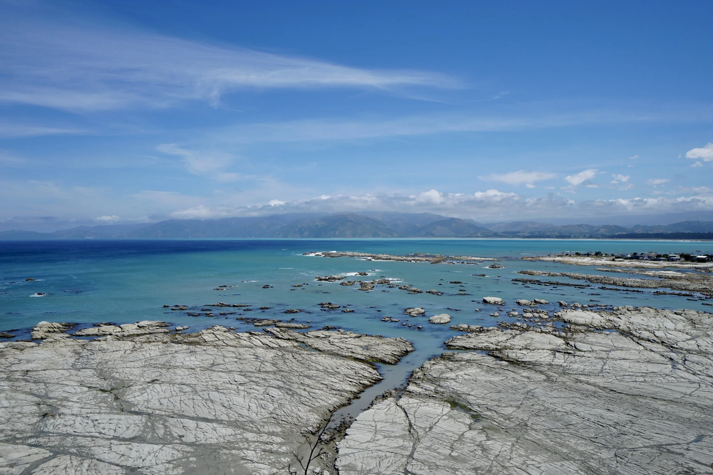 DSC02780.jpg