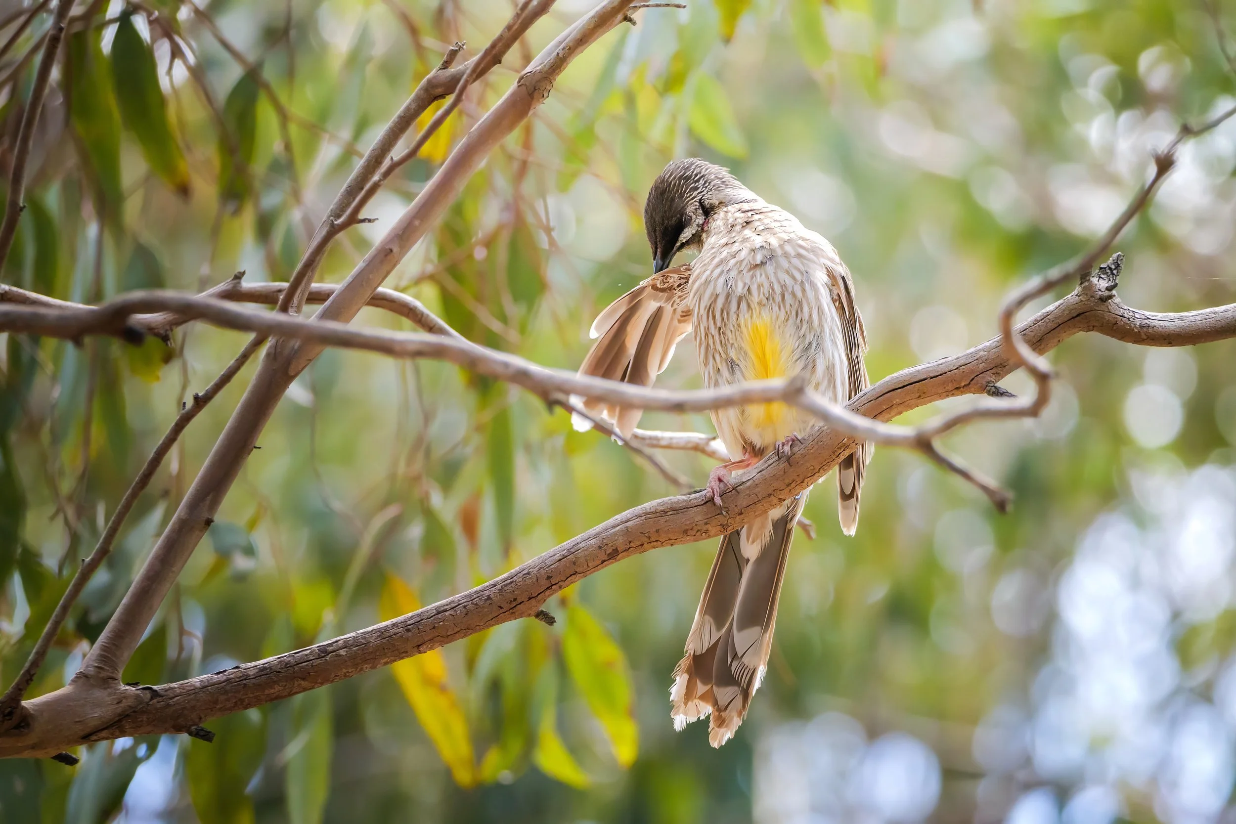 PG9_6556-topaz-denoise-sharpen.jpg
