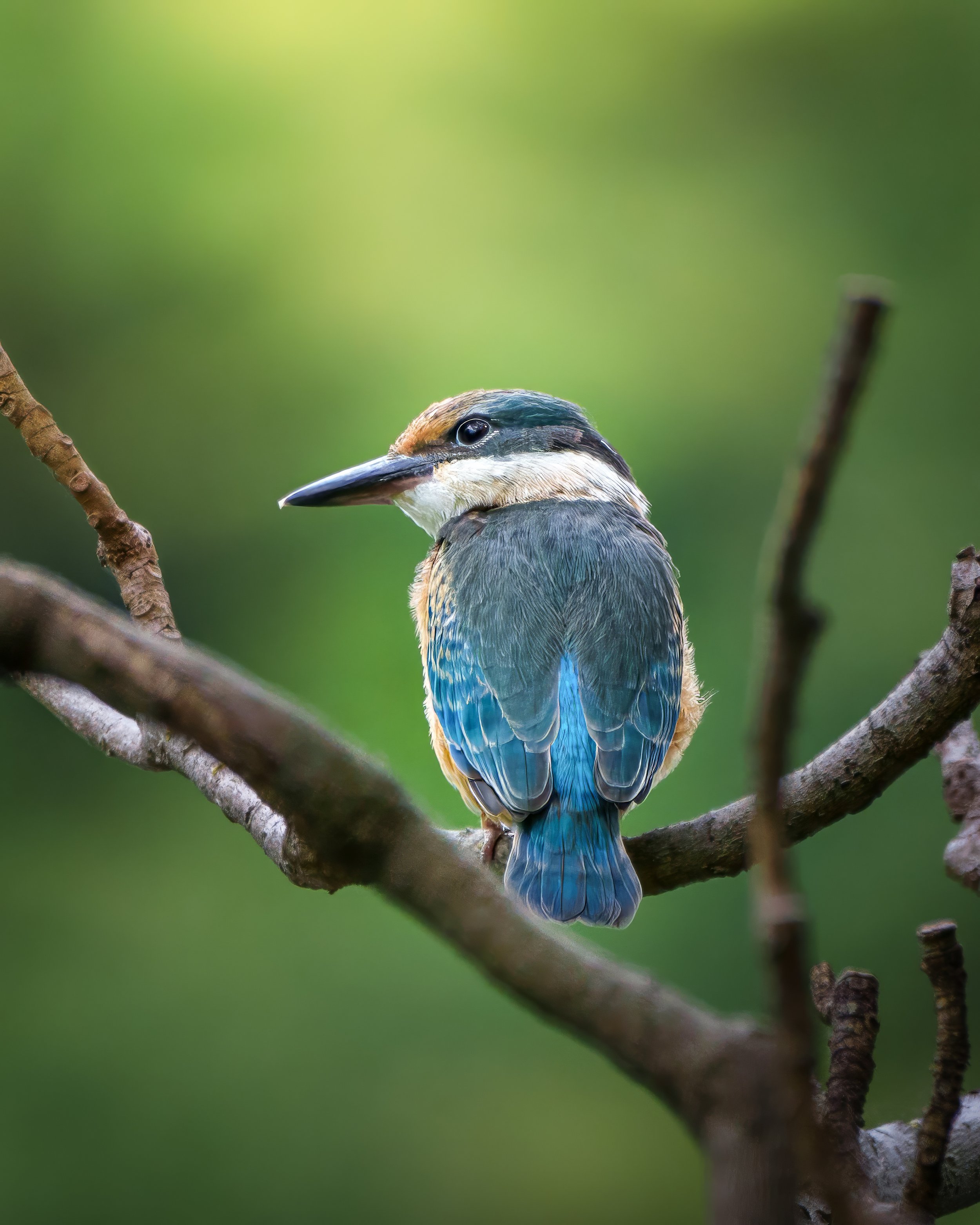 _A675431-topaz-denoise-sharpen-upscale-1.9x.jpg