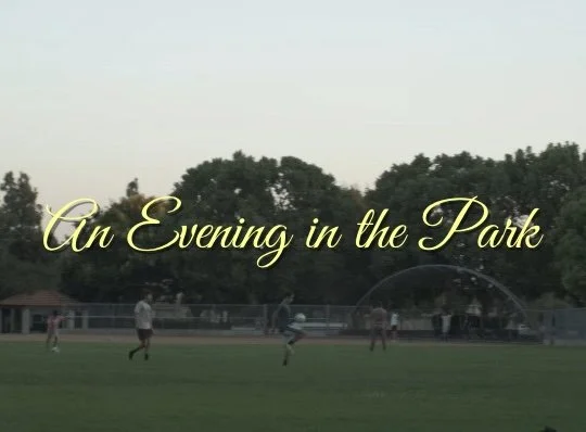 An Evening in the Park