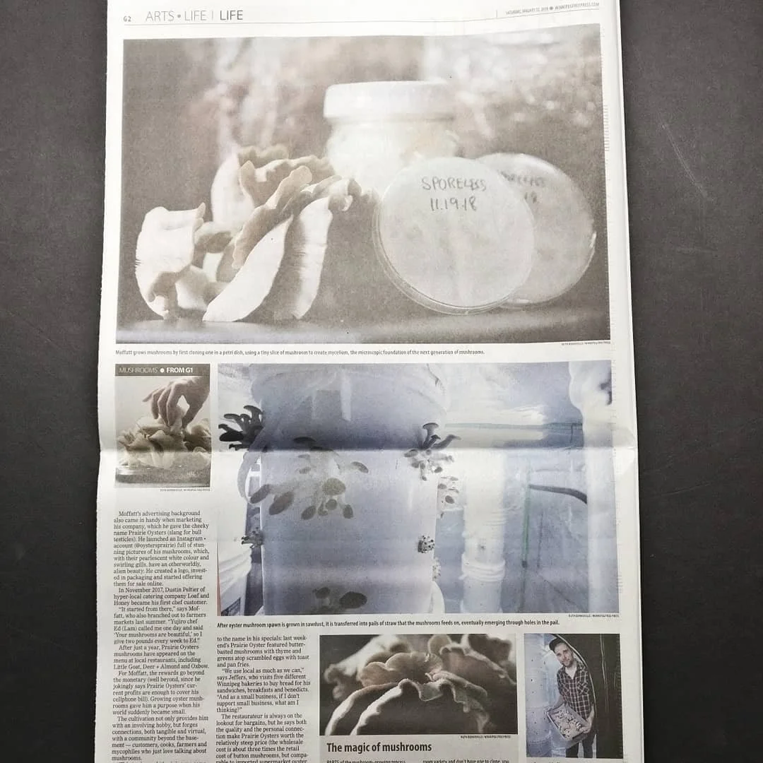 Click image to read article.