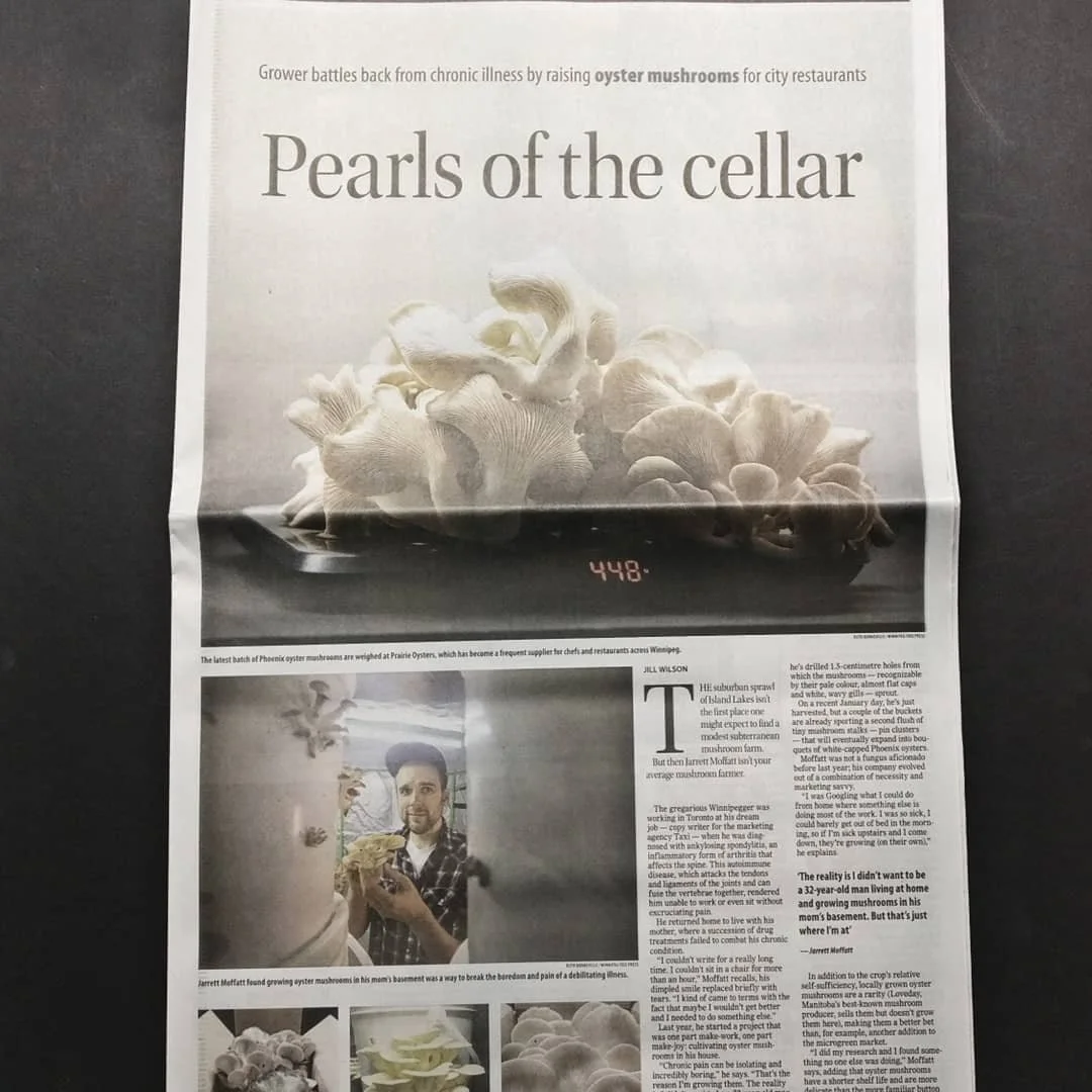 Click image to read article.