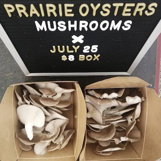 7r0WwUyGhtLfTGZpwM7C5y (1).jpeg