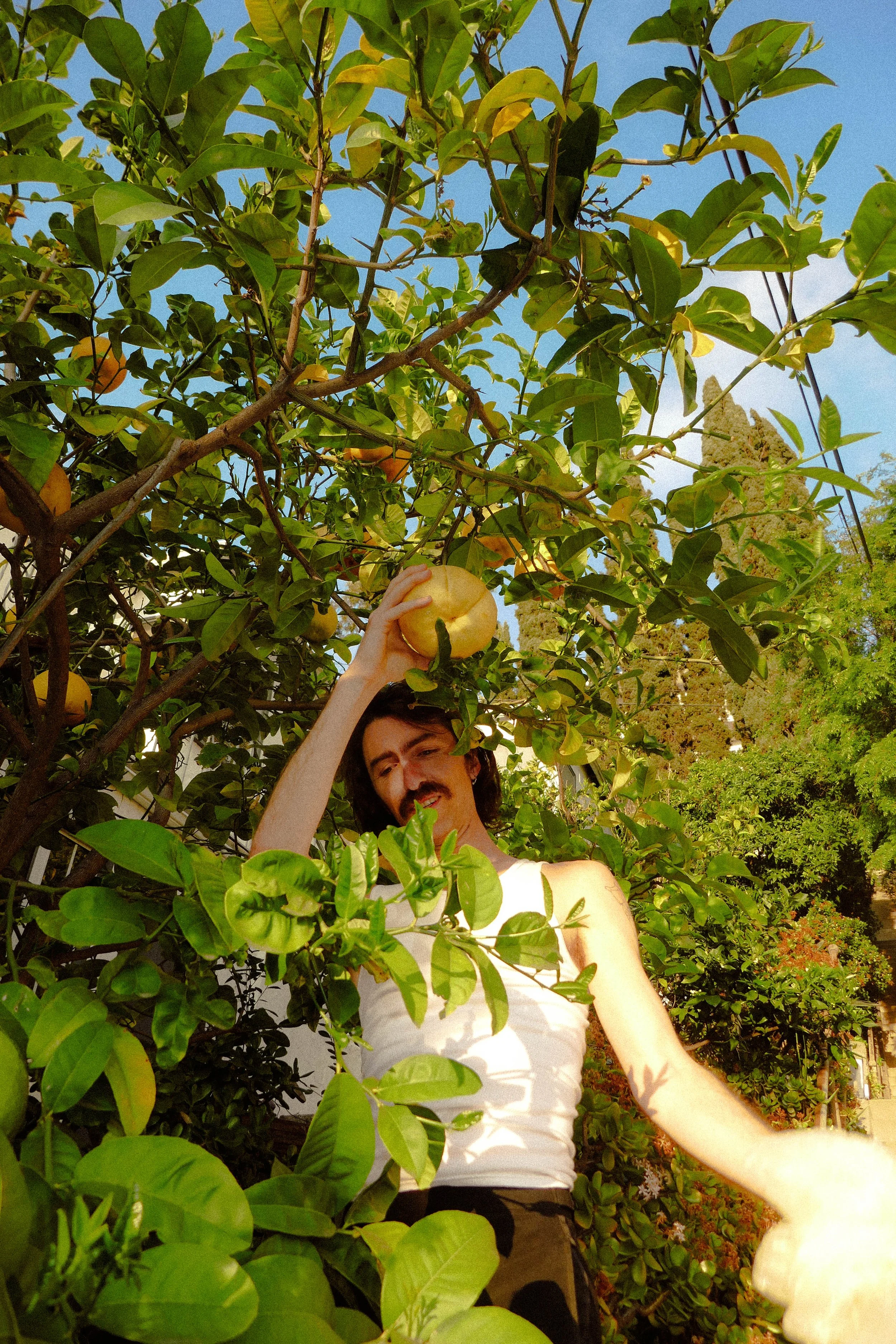 P1090610.jpg