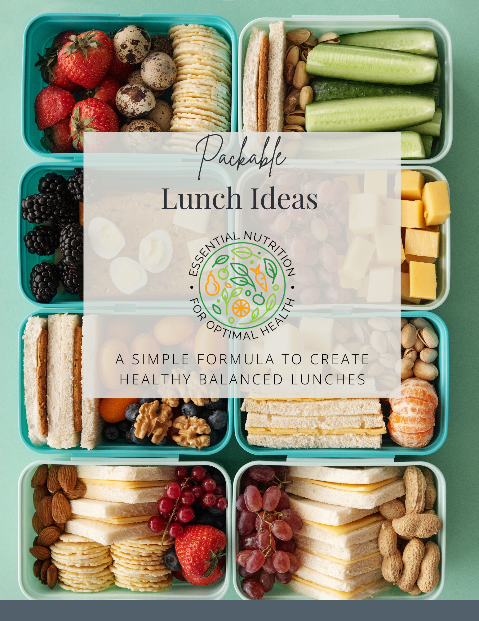 Template Packable Lunches Ideas Pic.png