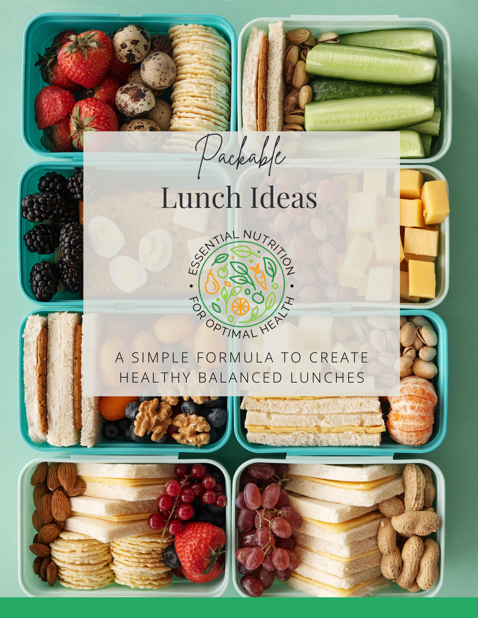 Lunch Ideas for Back to School