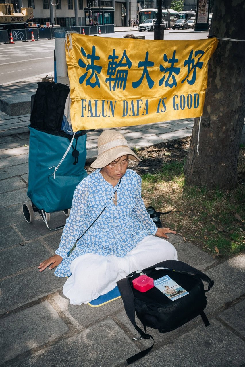 Falun Dafa Is Good, Paris, France