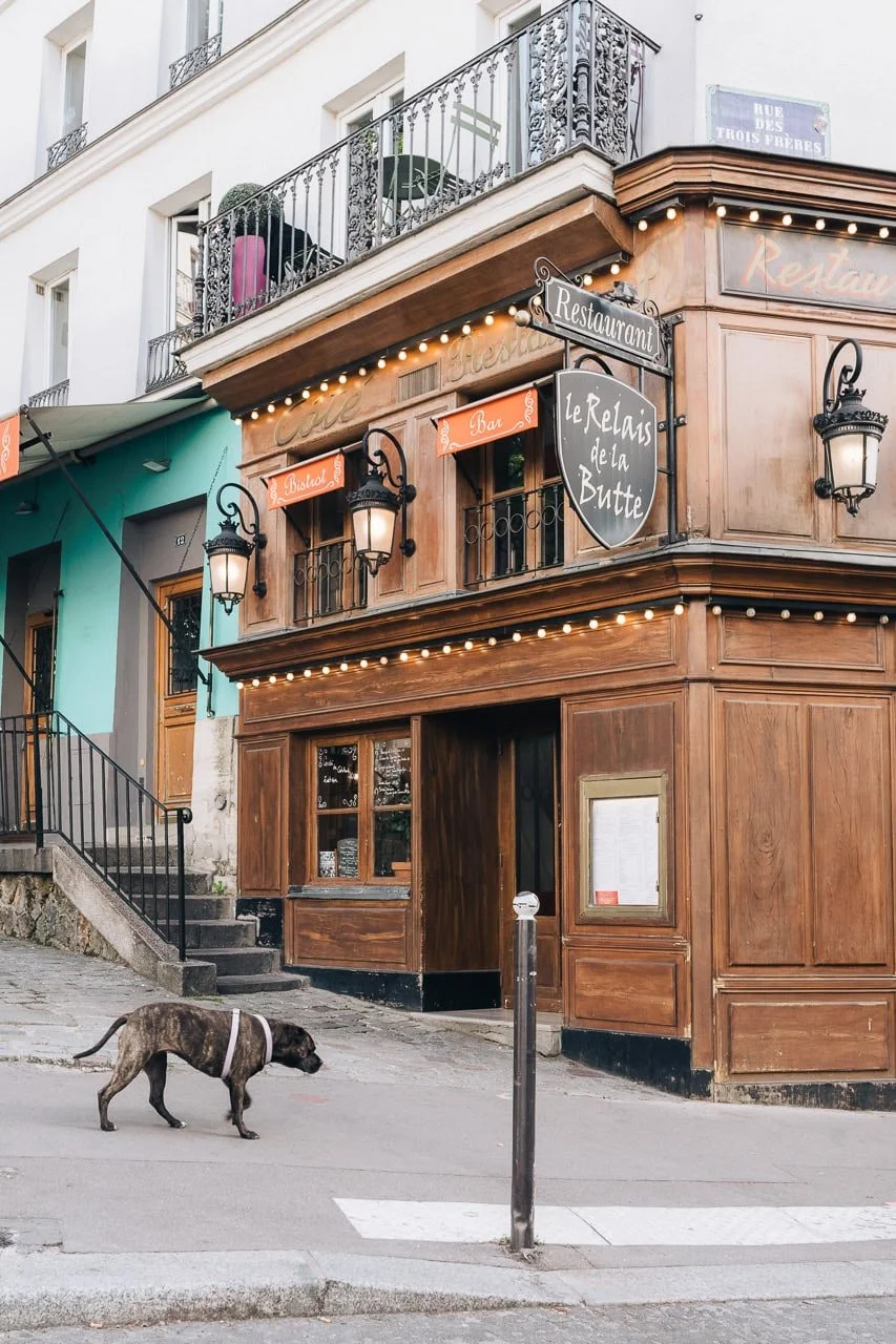 Lone dog walking past a restaurant in Montmartre, Paris