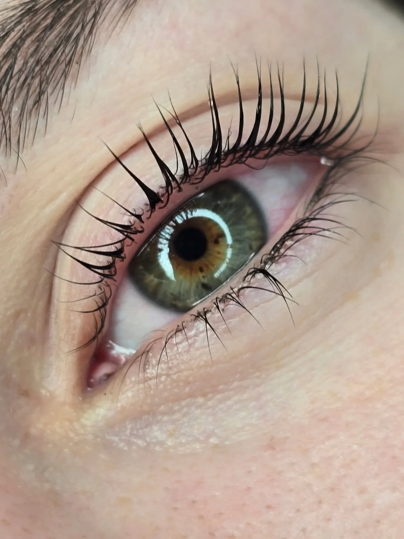 🌿 When subtle becomes stunning.
This Lash Lift proves that natural beauty can shine the brightest.

Book now 👇
https://facesconsent.com/bookings/agnieszka-nitecka
☎️01963548080 Agnieszka 
📍1a South Street Wincanton Ba99dh 

#LashLiftResults #winca
