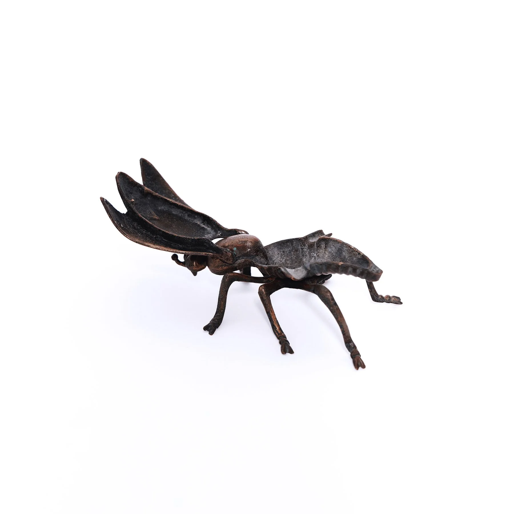 fly-3.jpg