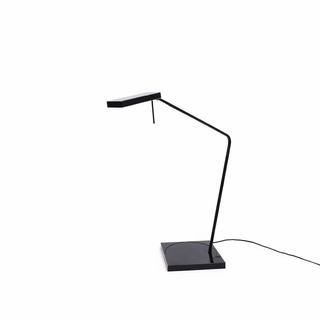 Shawn Littrell, Ninety Light