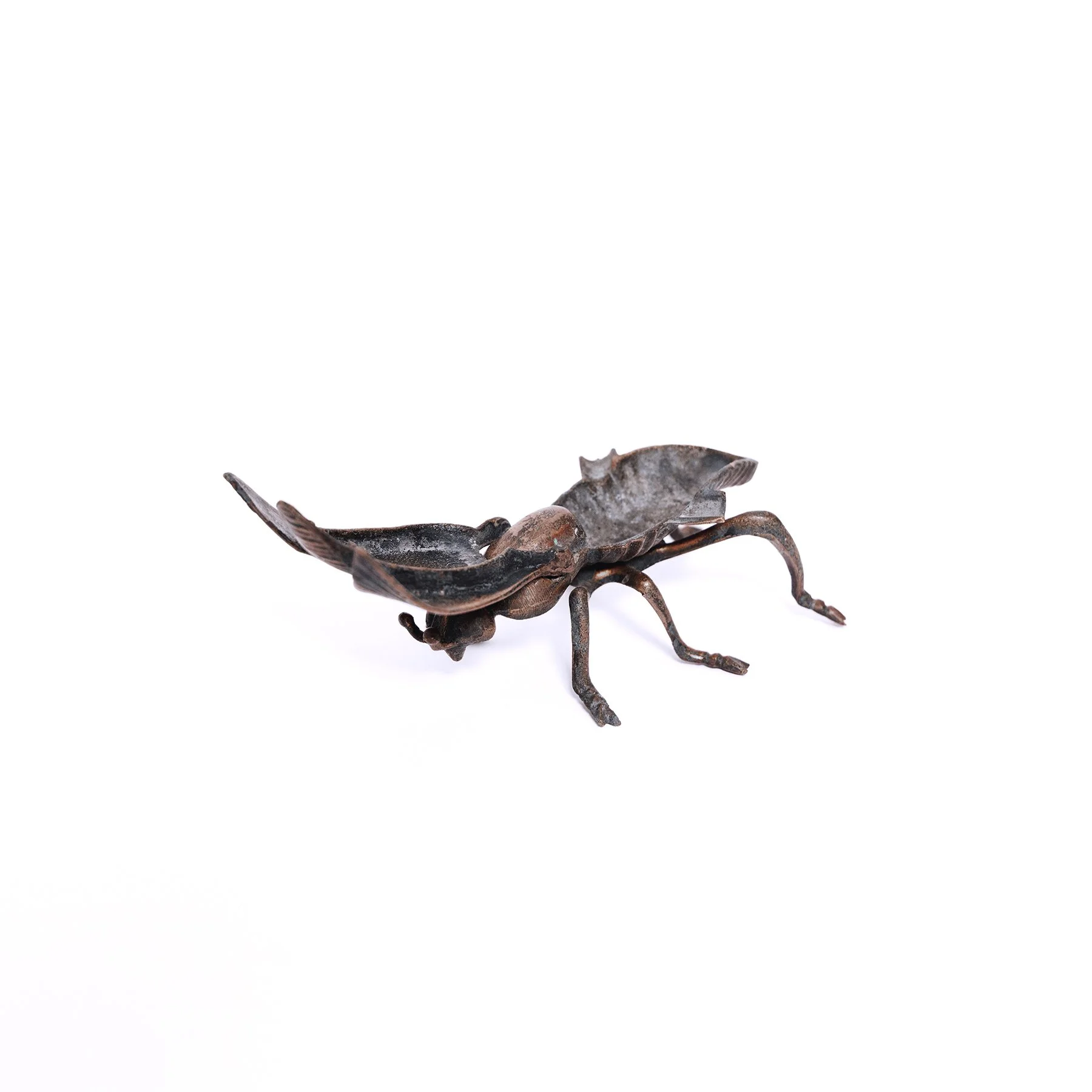 fly-2.jpg