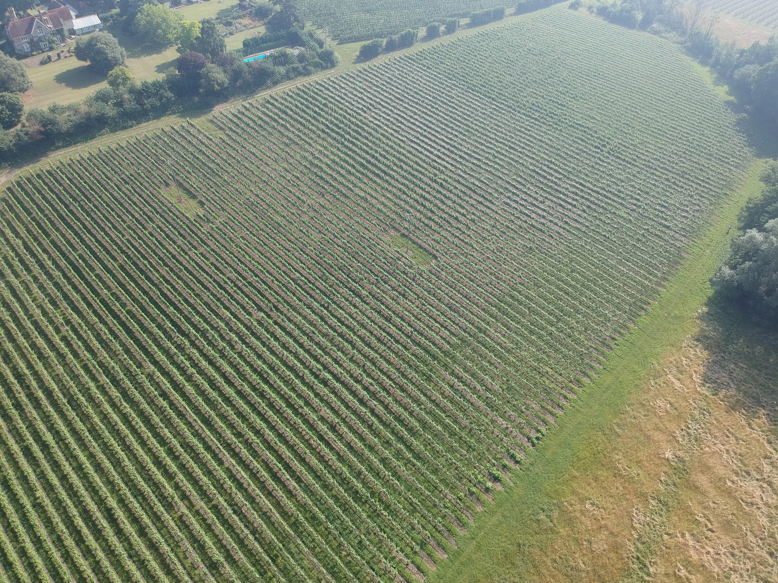 DJI_0509.JPG