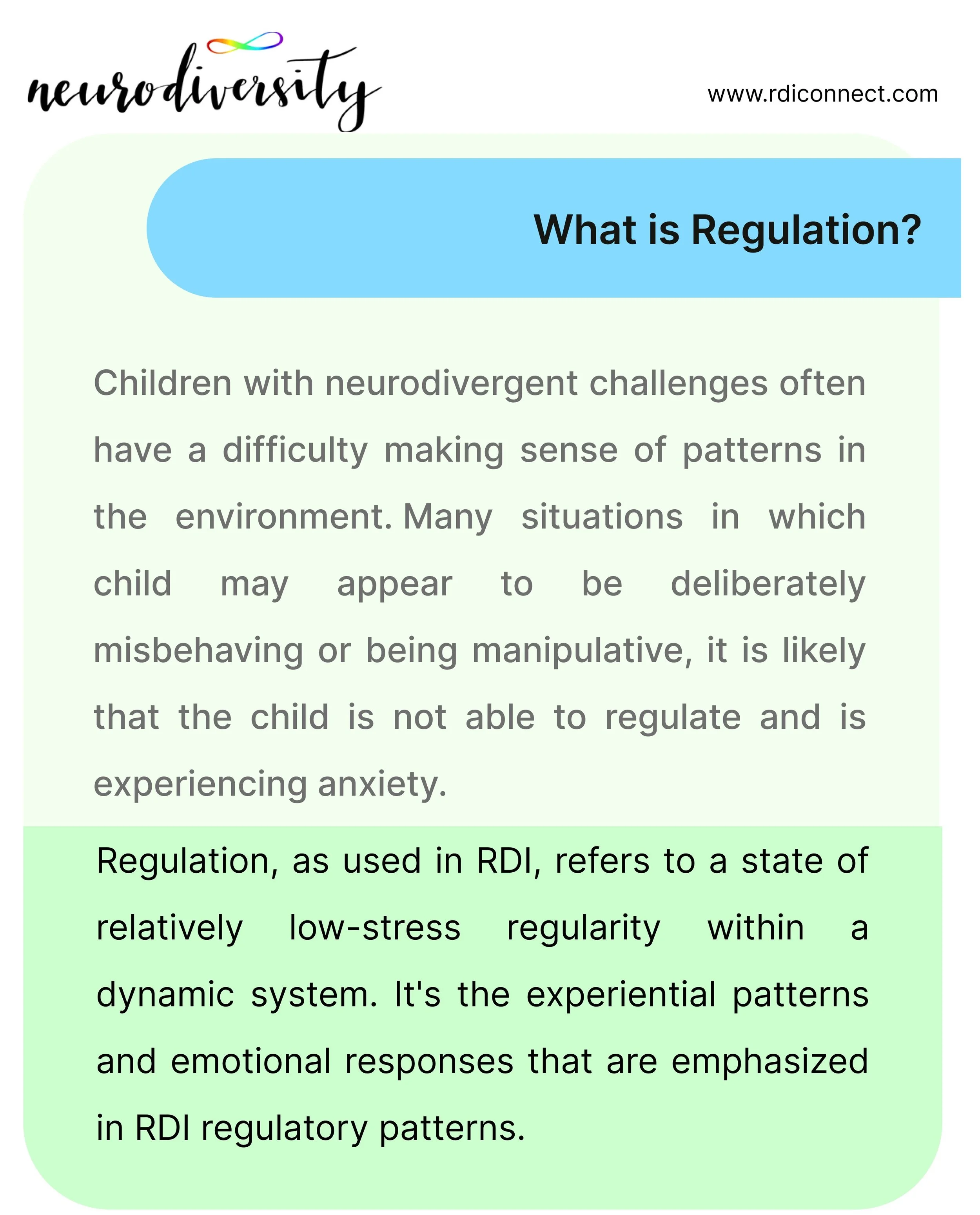 RDI flyer - regulation.jpg