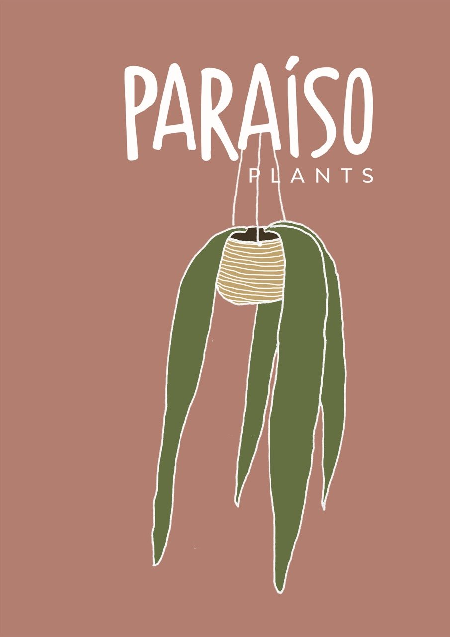 Gift Card design for Paraiso Plants