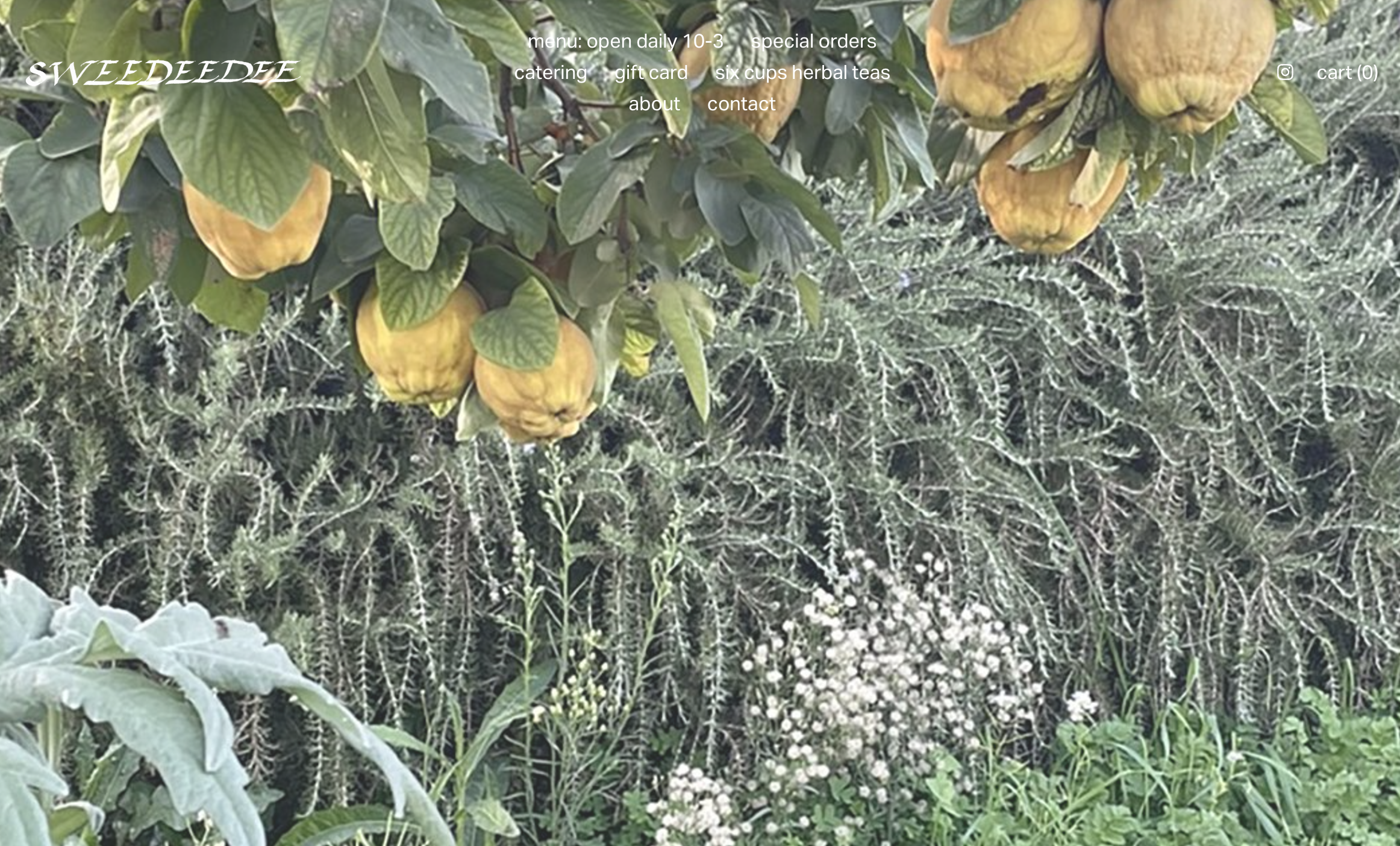 Website for Sweedeedee