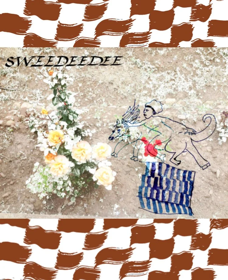 Website with Sweedeedee