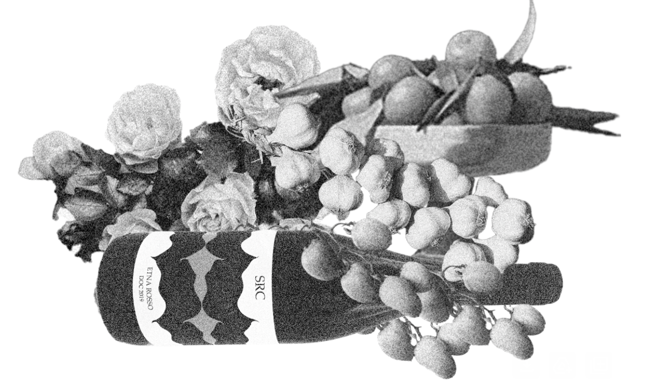 Wine club for No Saint with Gabriella Casabianca