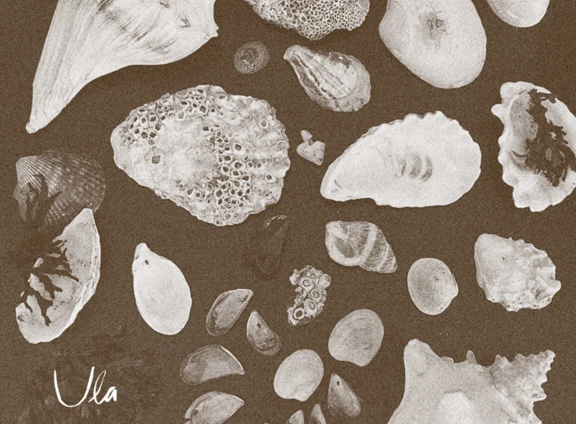 Tissue paper design with Ula Botanic