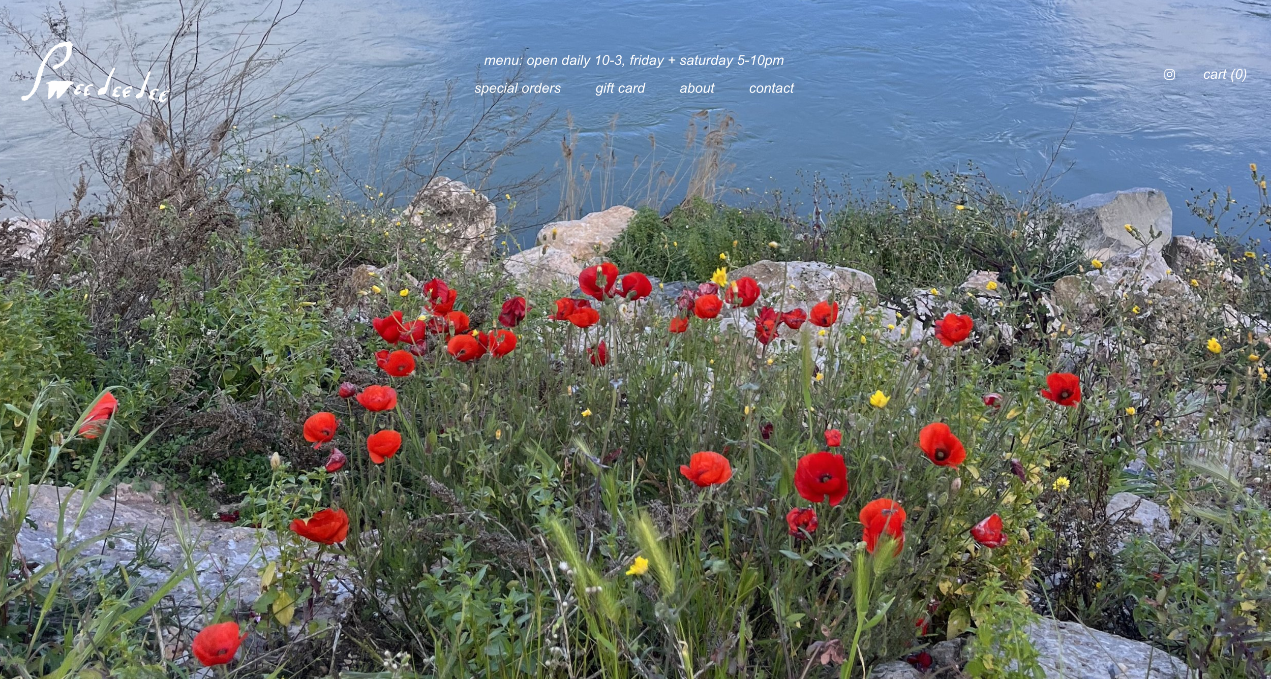 Website with Sweedeedee