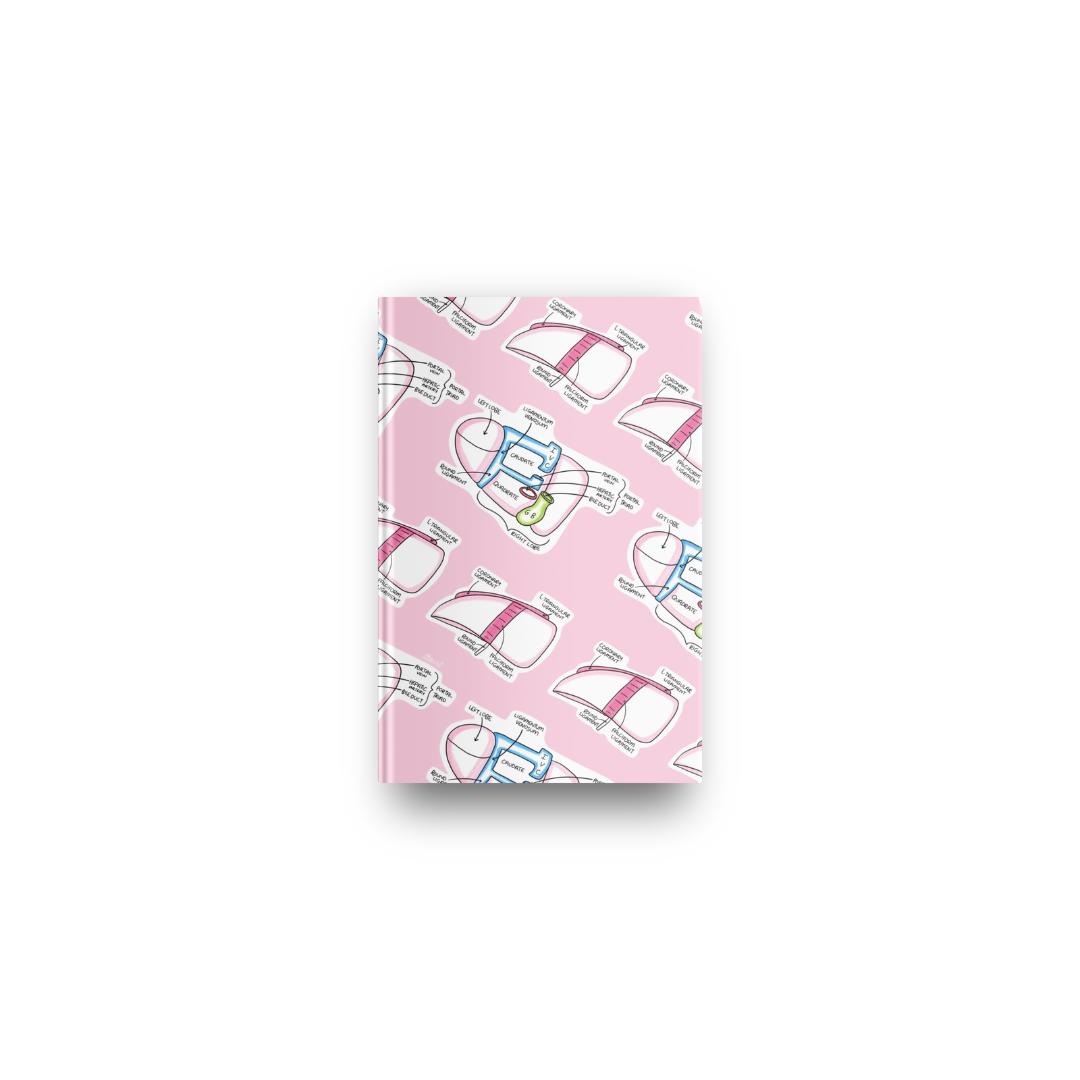 Original Liver Notebook