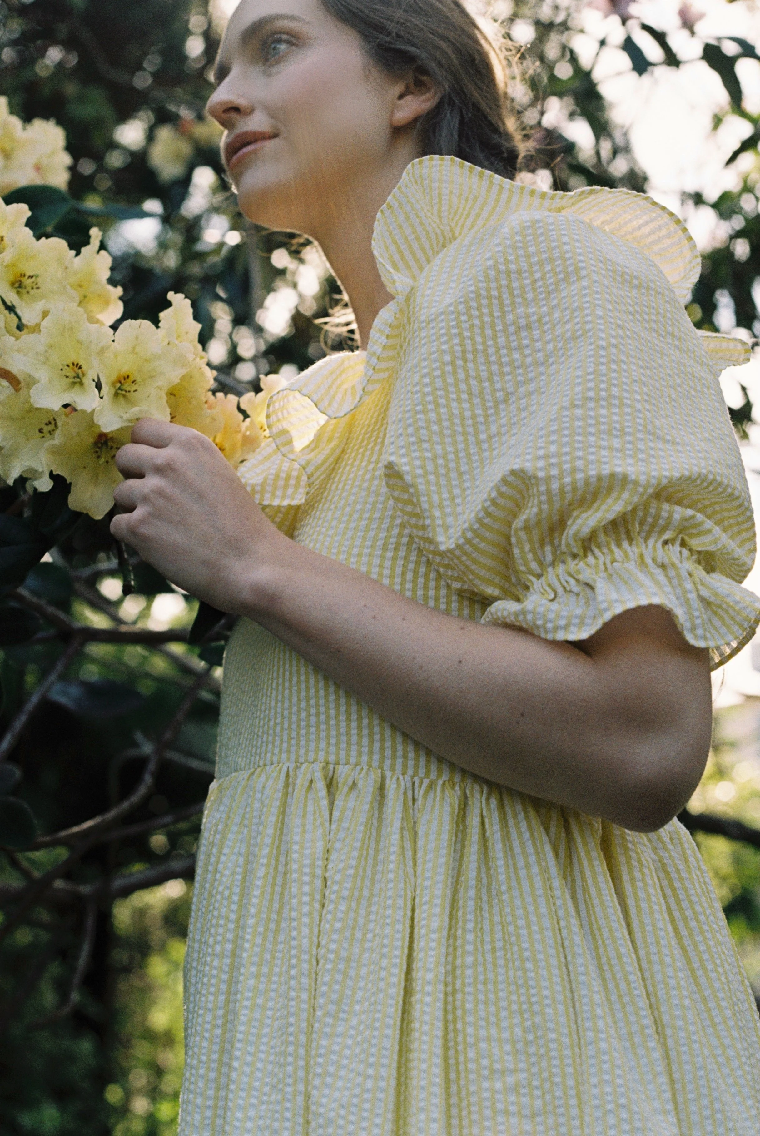 Sunday Dress in Yellow Stripe