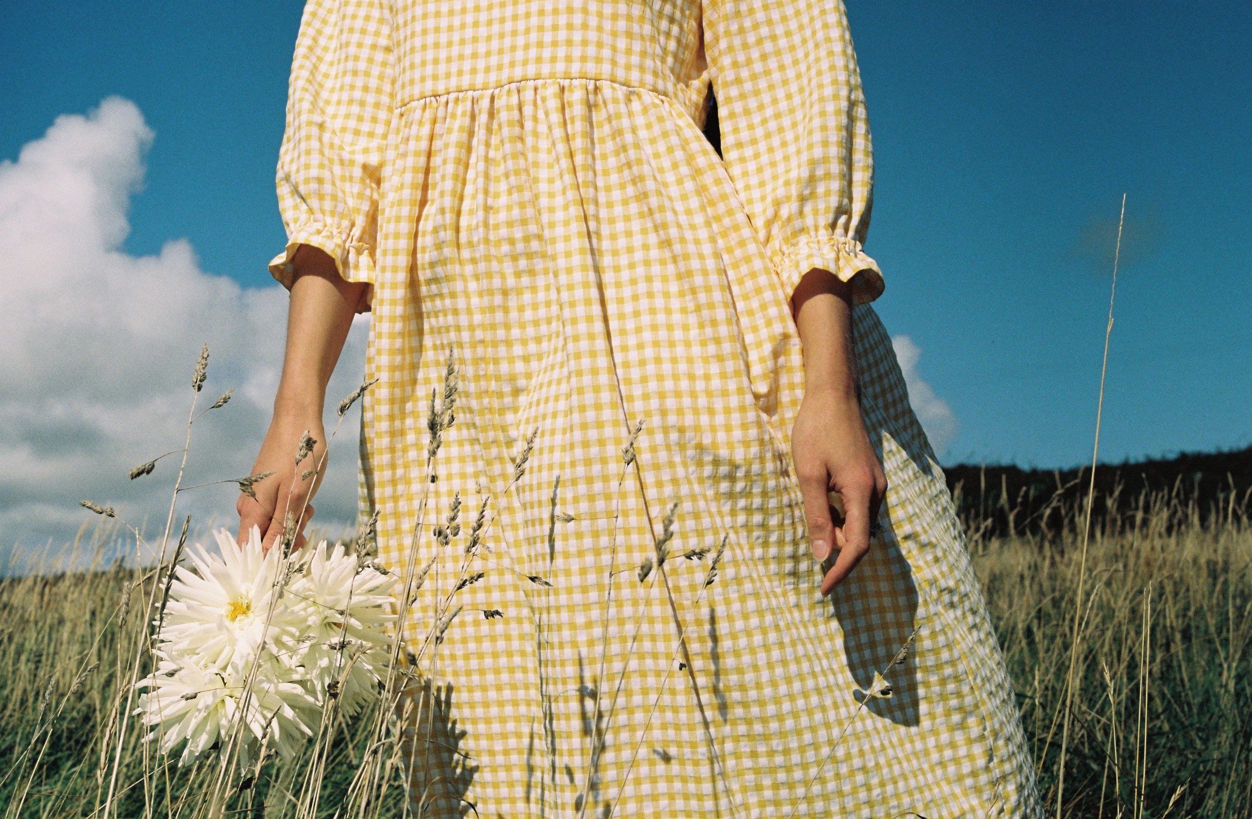 yellow gingham - 5.jpeg