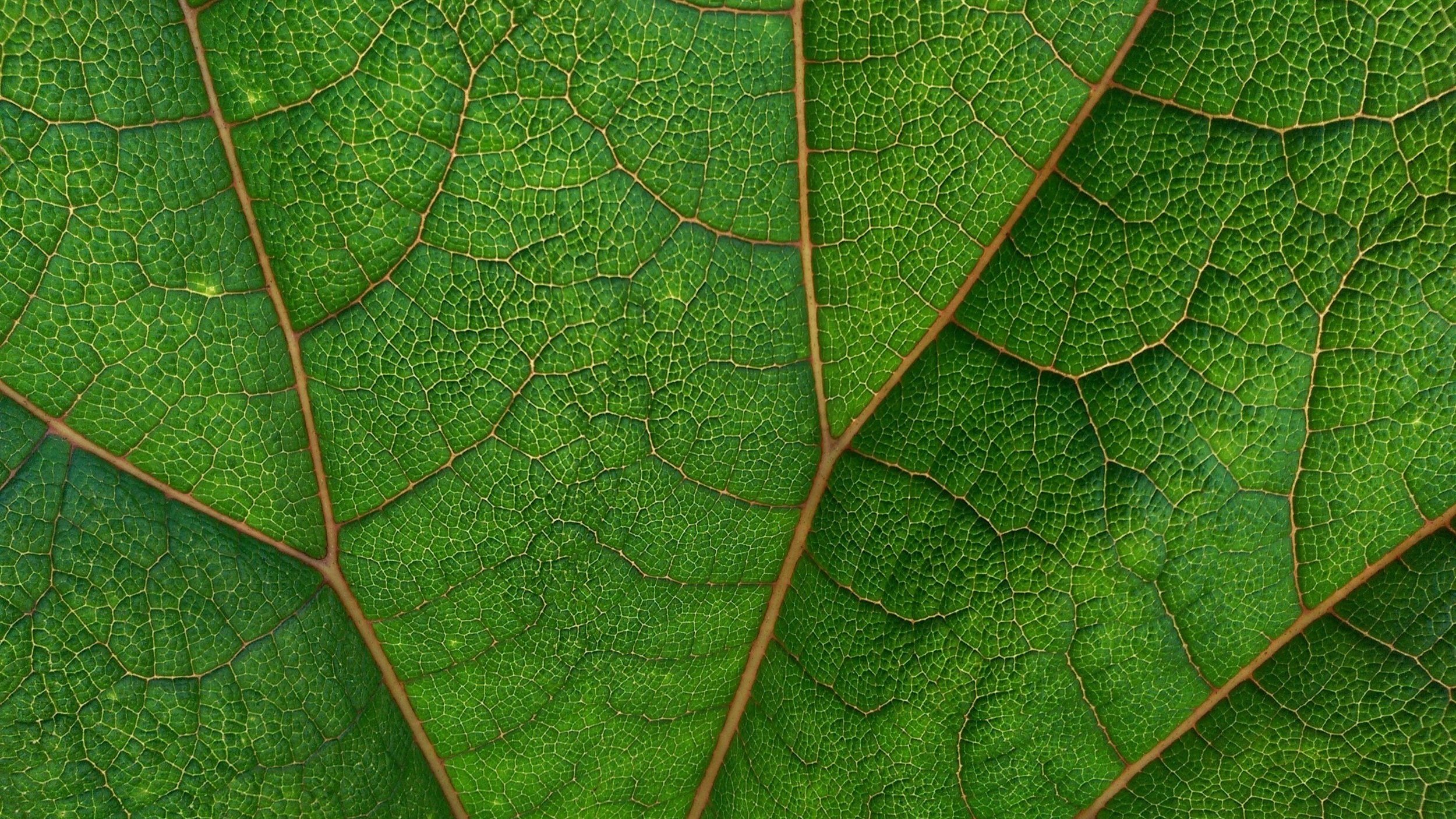 The turning of the (green) tide?