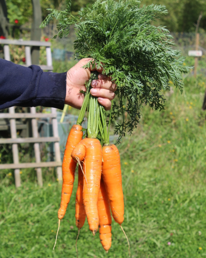 Screenshot 2026-01-24 125958.png