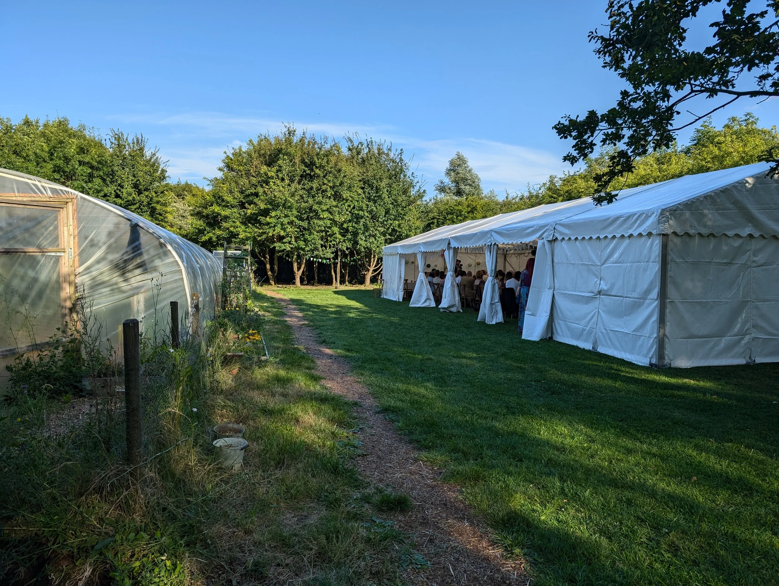 PXL_20240803_170510403 (2).jpg