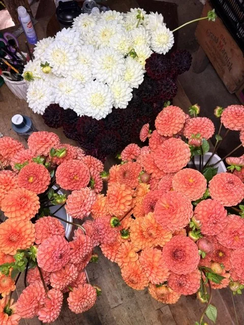 A variety of colorful flowers on a table, including white, dark purple, and peach-colored blossoms.